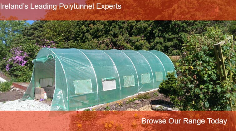 leading polytunnels experts